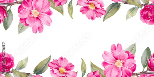Wallpaper Mural Watercolor spring pink camellia flowers and leaves seamless border isolated on white background Torontodigital.ca