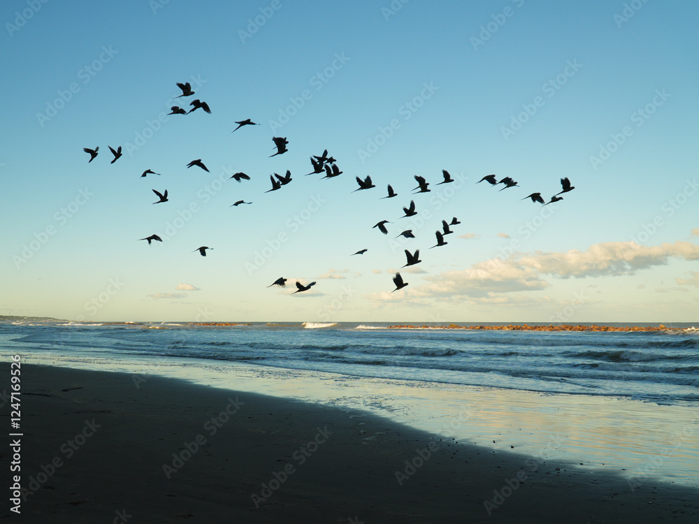 Flock of parrots flying over the beach and sea waves Flock of parrots flying over the beach and sea waves