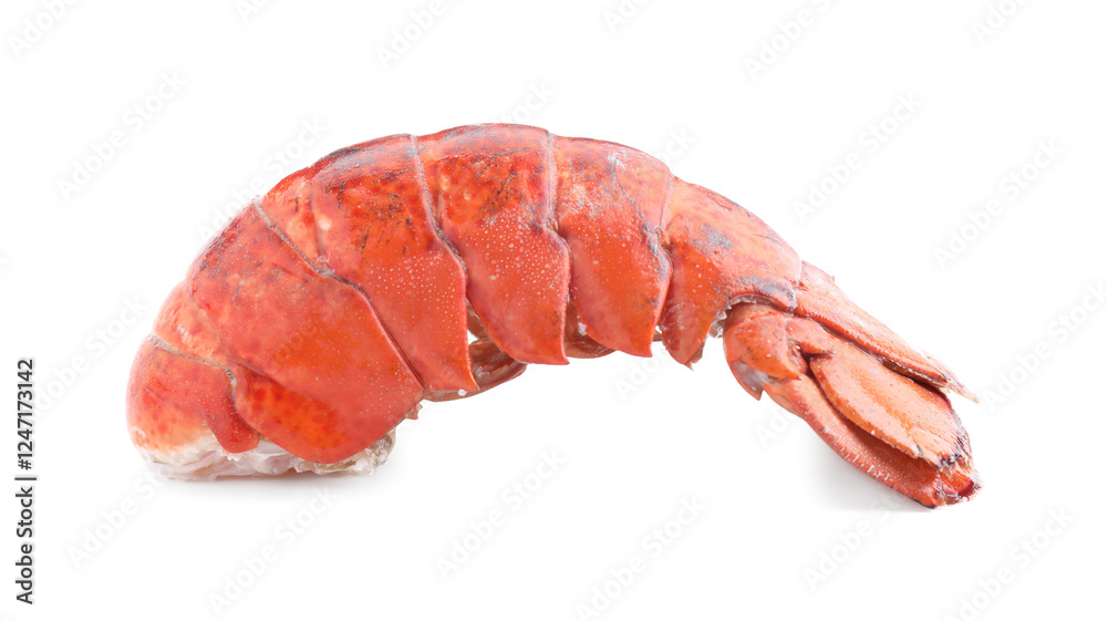 Tail of boiled lobster isolated on white Tail of boiled lobster isolated on white