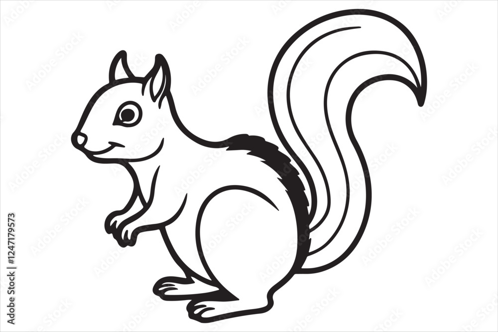 Squirrel vector on white background Squirrel vector on white background