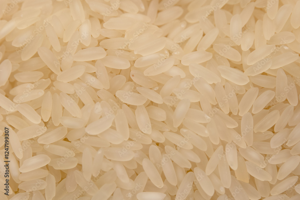 Long grain white rice close-up shows texture and shape in natural light Long grain white rice close-up shows texture and shape in natural light