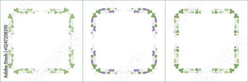 Wallpaper Mural Set of three elegant green vegetal ornamental frames with blue and green grape vine, decorative border. Isolated vector illustration. Floral frame.
 Torontodigital.ca