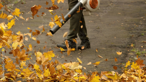 A street cleaner blows autumn leaves off a sidewalk with a leaf blower. Motion blur.