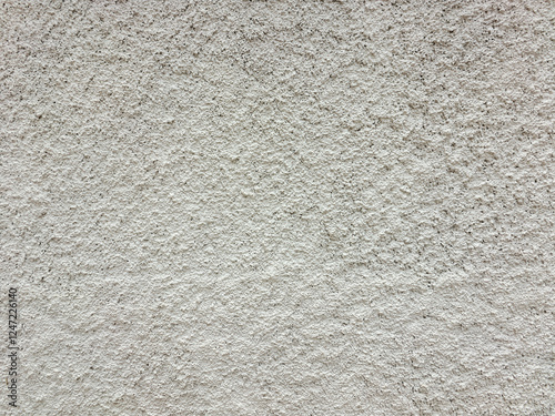 Wallpaper Mural Textura de pared rugosa blanca con detalles Torontodigital.ca