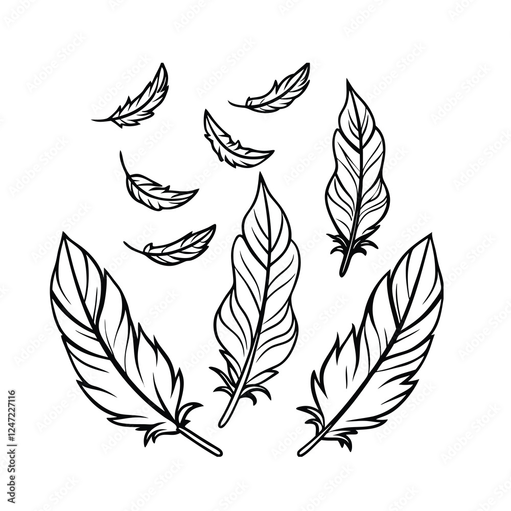 Obraz premium Elegant Black and White Feather Design color page for kids