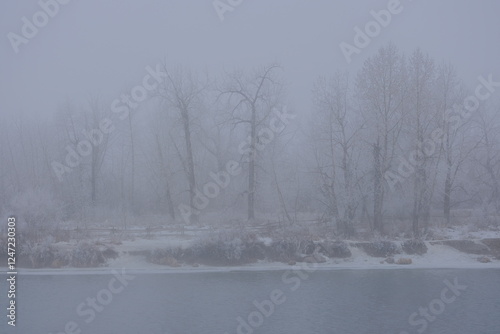 river in winter, frozen trees in the snow, trees in the fog, winter, Fog
