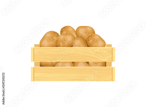Wooden crate with potato isolated on white background. Vector cartoon flat illustration.