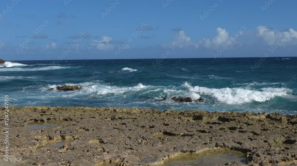 waves on the beach