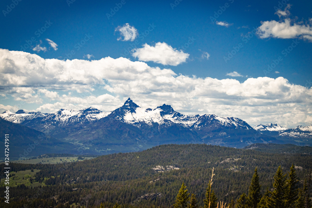 Fototapeta premium Bear tooth mountains landscape, Montanna
