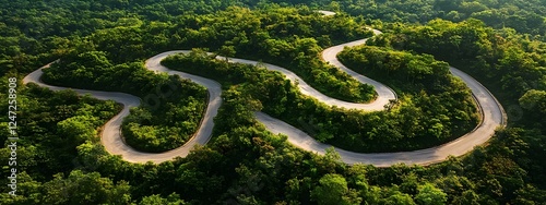 Aerial view of a winding road through a dense forest, top-down perspective

