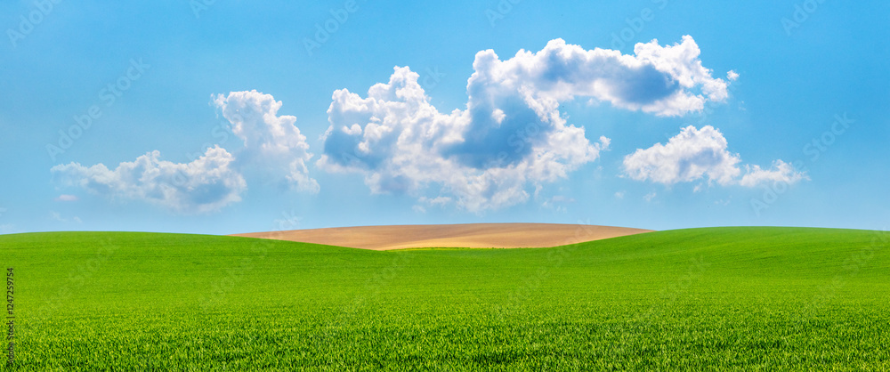 spring landscape with green field and blue sky with white clouds in sunny weather spring landscape with green field and blue sky with white clouds in sunny weather
