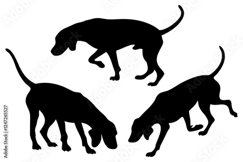 Dog Scent Tracking SVG Clipart Set – Bloodhound, GSP, and Dachshund Sniffing Silhouettes – Vector Art for Logos, Prints & Digital Designs on white background.