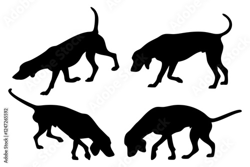 Dog Scent Tracking SVG Clipart Set – Bloodhound, GSP, and Dachshund Sniffing Silhouettes – Vector Art for Logos, Prints & Digital Designs on white background.