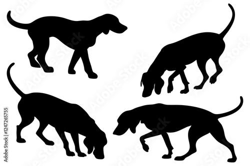 Dog Scent Tracking SVG Clipart Set – Bloodhound, GSP, and Dachshund Sniffing Silhouettes – Vector Art for Logos, Prints & Digital Designs on white background.