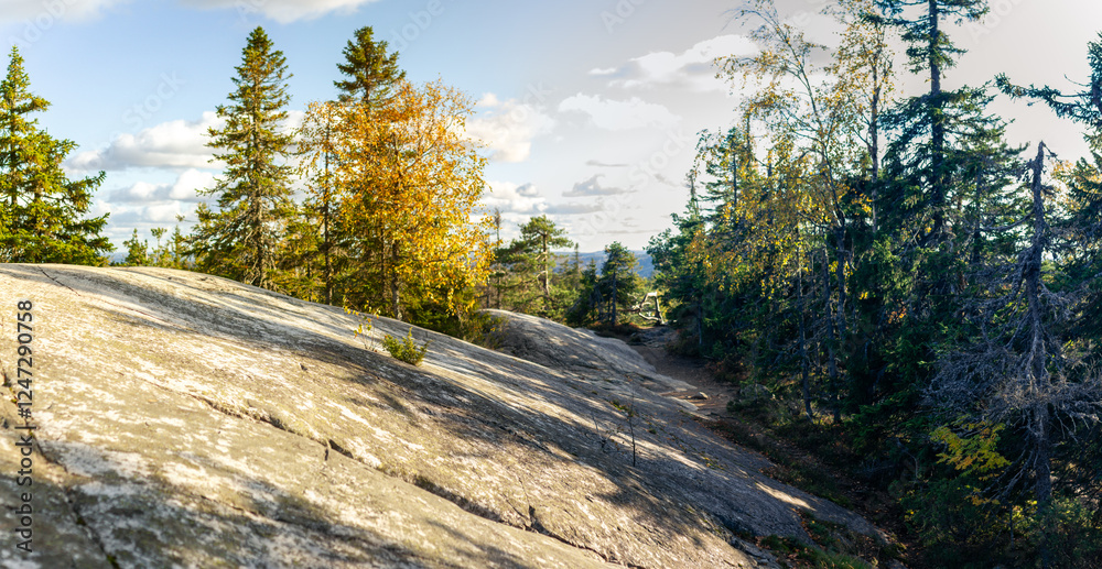 Fototapeta premium Scenic Autumn Trail On Rocky Terrain Surrounded By Lush Forest And Golden Foliage Under Soft Nordic Sunlight