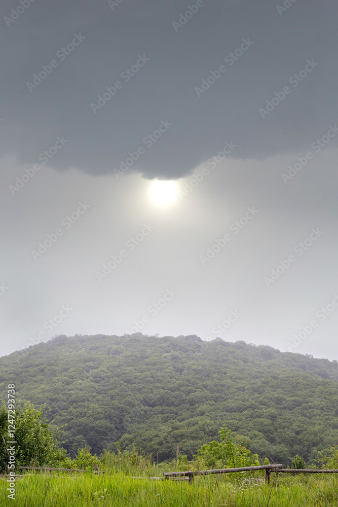Obraz premium green hilly field in front of the forest under a gray rainy sky