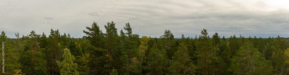 Expansive Aerial View of Dense Finnish Pine Forest Stretching Towards Distant Horizon Under Overcast Sky Expansive Aerial View of Dense Finnish Pine Forest Stretching Towards Distant Horizon Under Overcast Sky