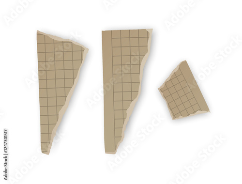 Torn Grid Notebook Paper Scraps, Vector illustration 