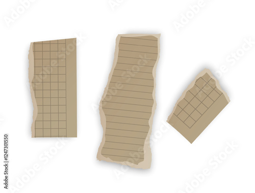 Torn Grid Notebook Paper Scraps, Vector illustration 