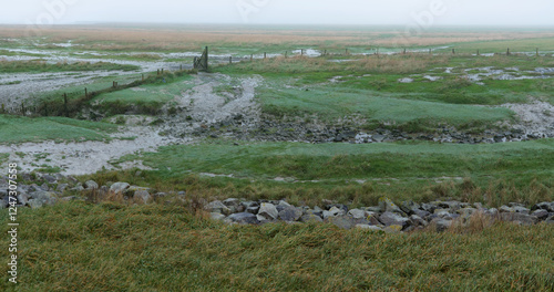 View on a misty swampy landscape with the paths of cattle on dirty muddy roads. Empty foggy panoramic deserted landscape.