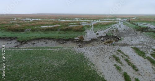 View on a misty swampy landscape with the paths of cattle on dirty muddy roads. Empty foggy panoramic deserted landscape.
