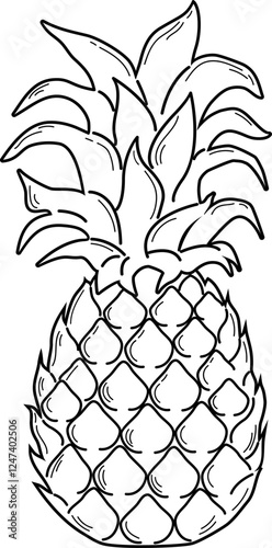 sketch of a pineapple