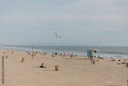 Beach Scene with Seagulls and People
