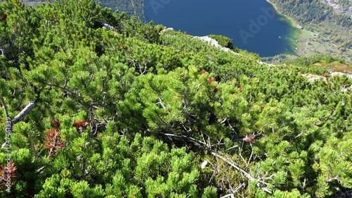 Wallpaper Mural Breathtaking Alpine Landscape of Altaussee Lake and Surrounding Mountainsitled Project Torontodigital.ca