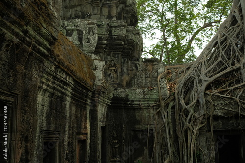 Ta Prohm Temple Cambodia