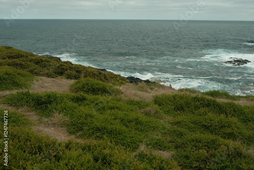 Green Ocean Coast