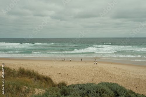 Beach, Sea, Sand Dunes, and Bluff