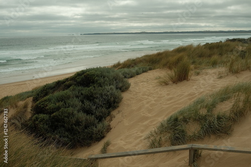 View of a Path to a Beach Through Sand Dunes