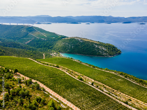 Southern Croatia vineyards and Adriatic coastline near Kremena and Komarna, showcasing scenic rolling hills and lush vineyards photo