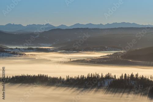 Fototapeta Naklejka Na Ścianę i Meble -  poranne mgły w górach