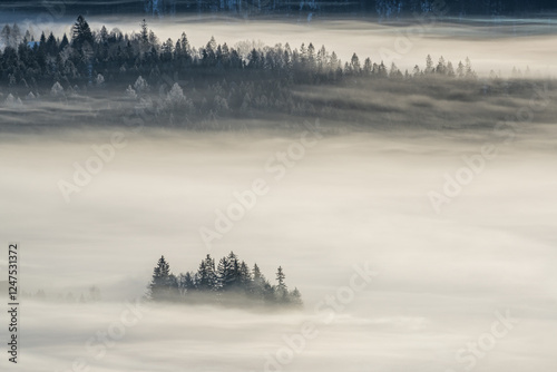 Fototapeta Naklejka Na Ścianę i Meble -  poranne mgły w górach