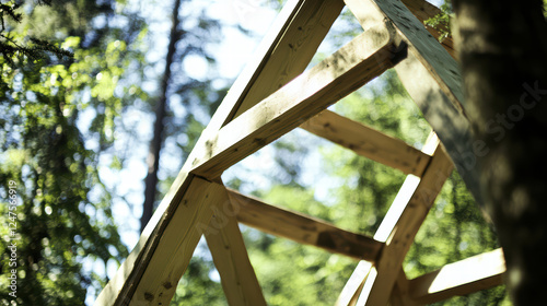 detailed view of wooden structural framework surrounded by lush greenery, showcasing craftsmanship and natural beauty of forest environment