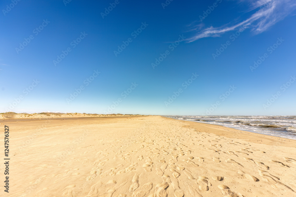 Seaside beach landscape view at Espiguette, Camargue, france in early spring Seaside beach landscape view at Espiguette, Camargue, france in early spring