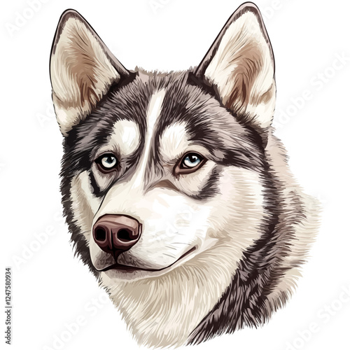 Husky Head Vector Illustration | Intelligent Canine Artwork for Logos & Prints  
