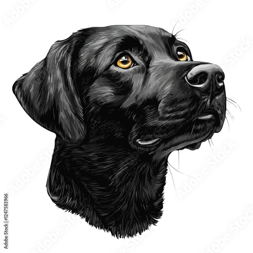 Labrador Retriever Head Vector Illustration | Loyal Companion Dog Artwork for Logos & Prints  
