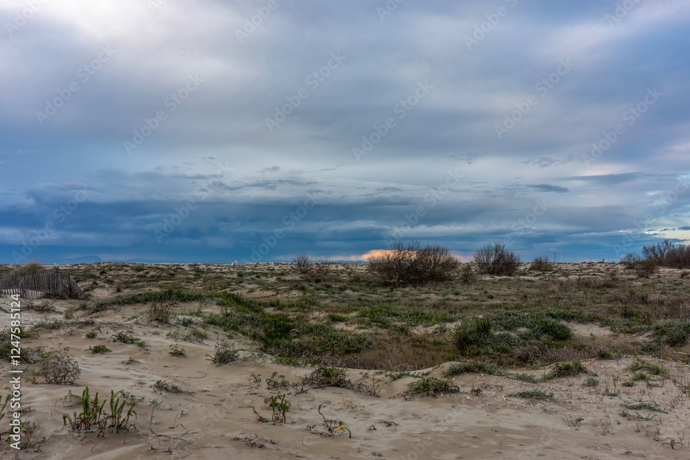 Beautiful seaside and dunes landscape at Piémanson beach at the camargue, france, in early spring during sundown Beautiful seaside and dunes landscape at Piémanson beach at the camargue, france, in early spring during sundown