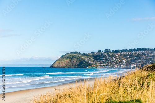 The beach and sea near Saint Clair, Dunedin, Otago, New Zealand photo