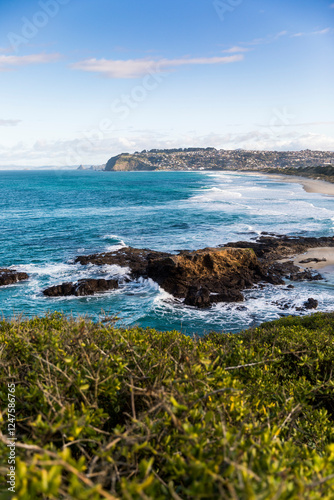 The beach and sea near Saint Clair, Dunedin, Otago, New Zealand photo