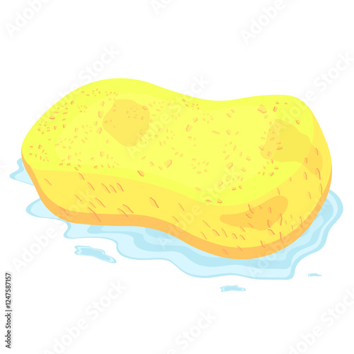 wet kitchen sponge