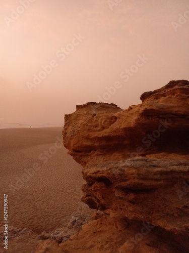 Obraz na płótnie Mars looking landscape w salonie