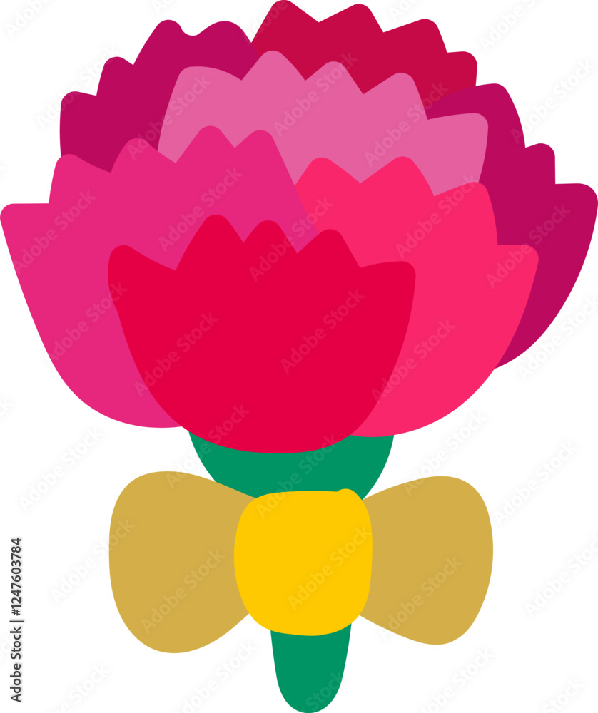 Fototapeta premium 카네이션