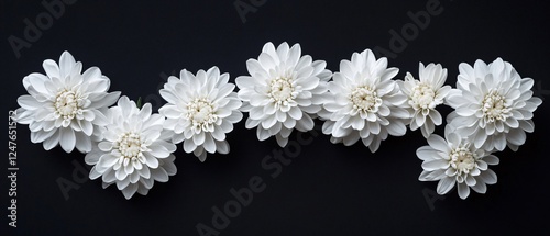 Wallpaper Mural Side View of White Chrysanthemum Flowers for Floral Arrangements and Decoration Torontodigital.ca