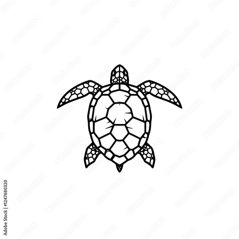 Obraz premium Hand-Drawn Outline of a Turtle Illustrating Artistic Simplicity