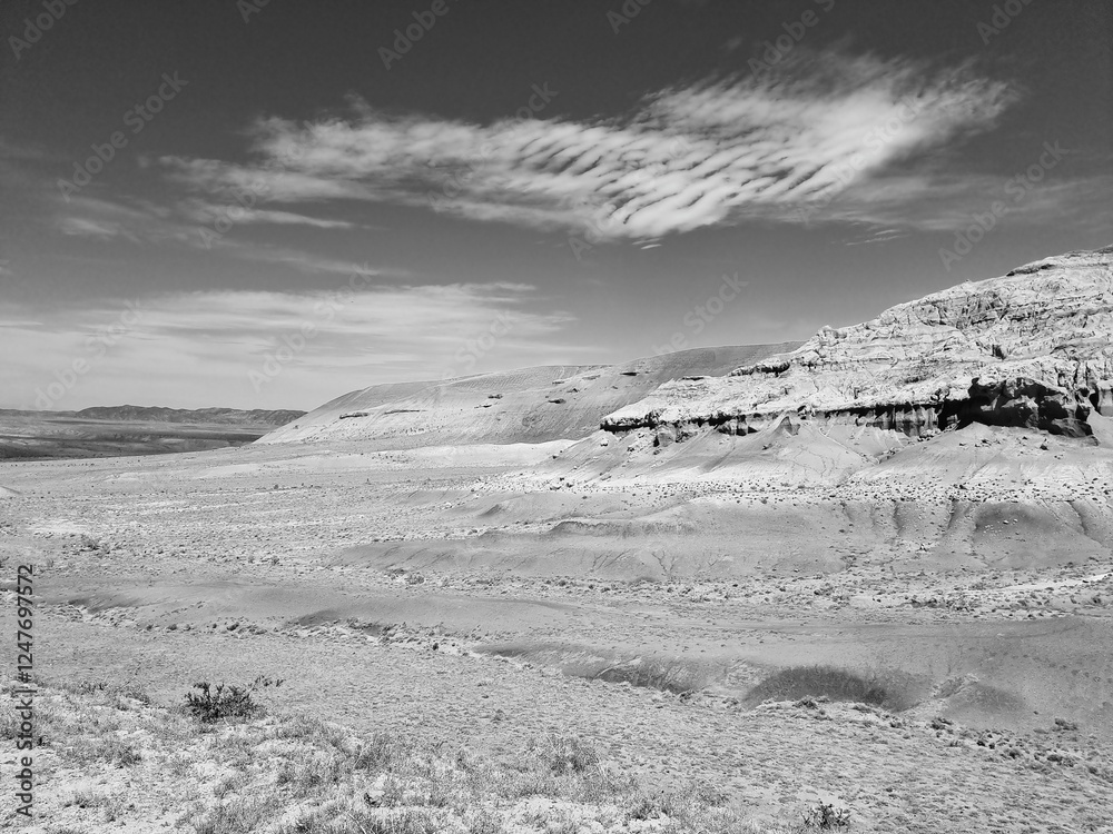 Fototapeta premium Beautiful landscape of the nature. Black and white photo. 