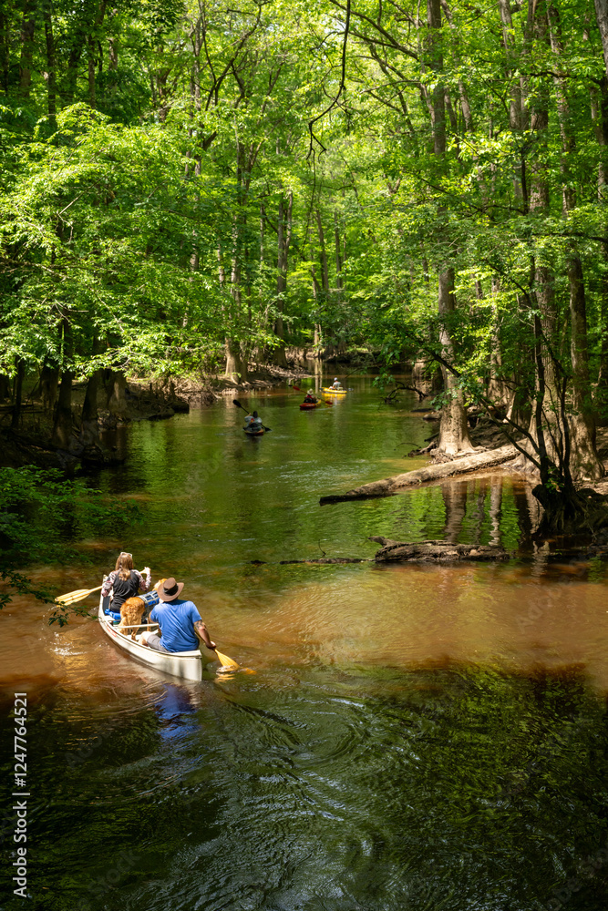 Paddlers Head Down River In Congaree