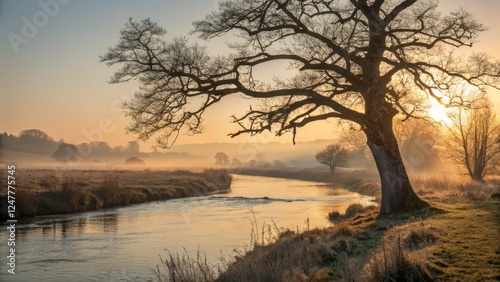 Compassionate Nature:  Golden Hour River Reflecting Sun's Grace